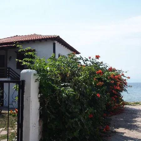 Thassos Traditional On The Sea Semesterbostad *